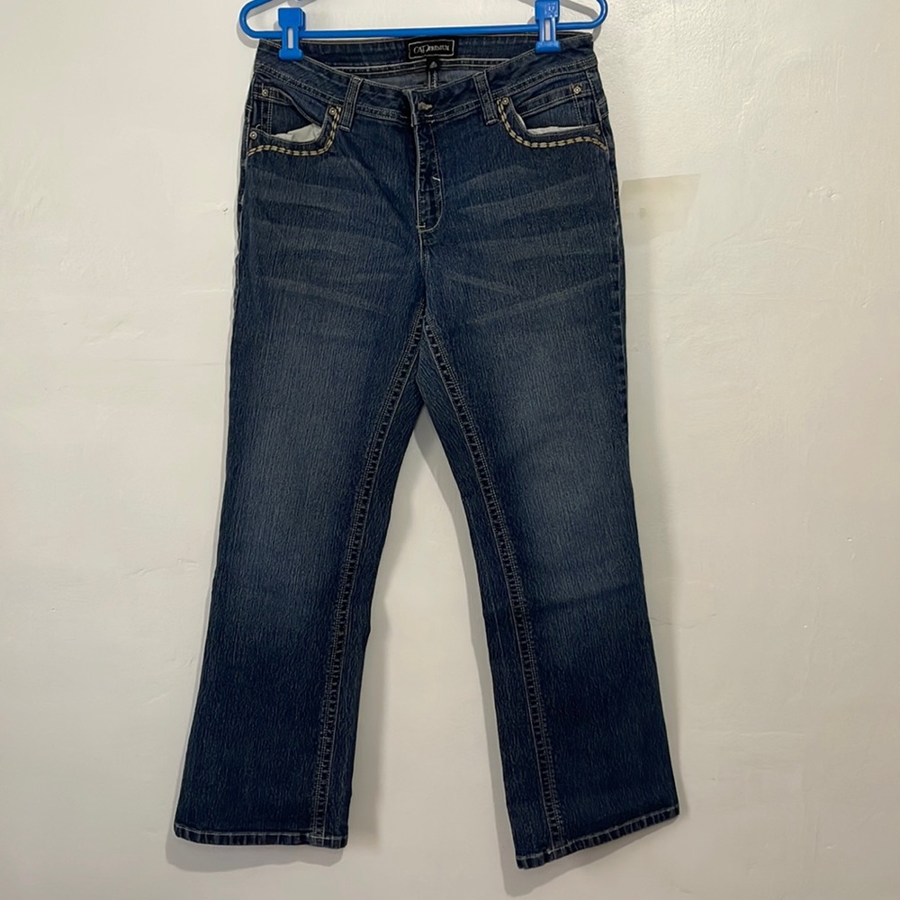 Size 12P Women's Cato Premium Denim Blue Jeans